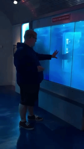 Wait For It GIF