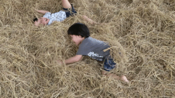 vsirisanthana keansean GIF