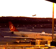 flight istanbul GIF