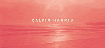 calvin harris beach GIF by Columbia Records UK