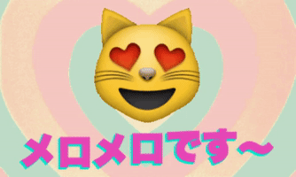 in love cat GIF