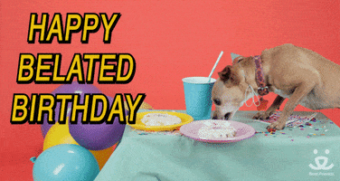 adopt best friends GIF by Best Friends Animal Society