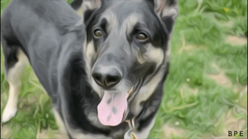 200.gif?cid=fc005b084f2ad48ae30fff1a1657bfd0973cd61f52fbedd9&rid=200.gif&ct=g