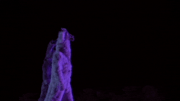 M A  N   I    A The Last Of The Real Ones GIF by Fall Out Boy