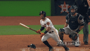 Houston Astros GIF by MLB