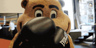 Big Ten Boxing GIF by Goldy the Gopher - University of Minnesota
