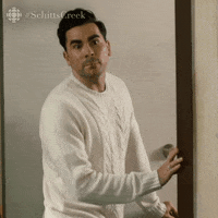 schitts creek yes GIF by CBC