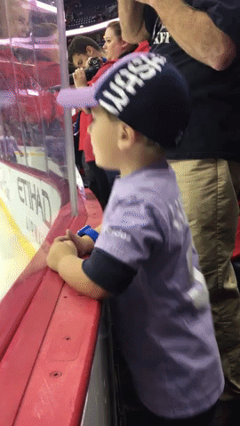 excited hockey GIF