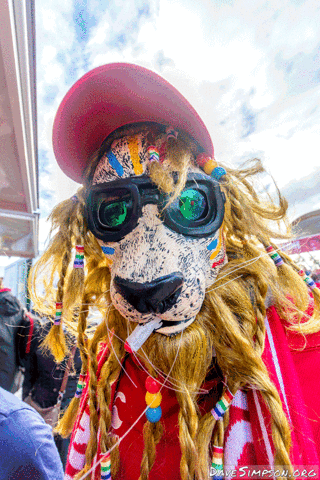 davesimpson irish and british lions rugby GIF