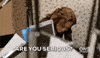 rickey smiley what GIF by TV One