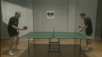 shubhamdawra sports table tennis GIF