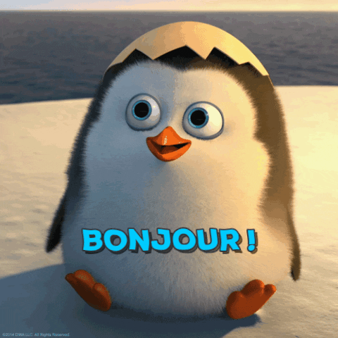 Bonjour-bonjour GIFs - Get the best GIF on GIPHY