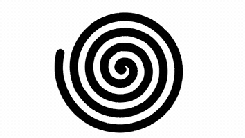 salvatorepapa xing spirale GIF