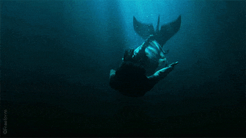 mermaid sinking GIF by Siren