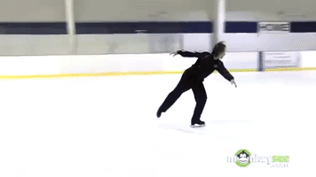 Figure Skating Lutz GIF