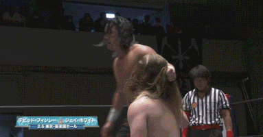Pro Wrestling GIF