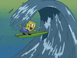 season 1 surfing GIF by SpongeBob SquarePants