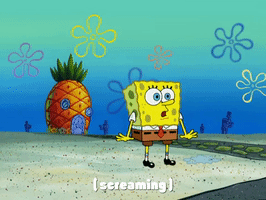 season 4 episode 13 GIF by SpongeBob SquarePants