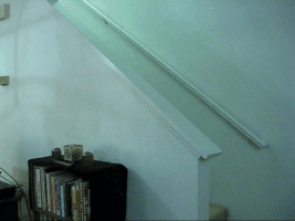 Mothballs cat stairs GIF