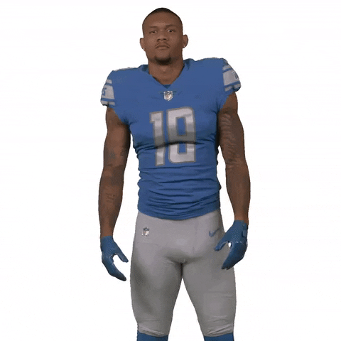 National Football League GIF by Detroit Lions