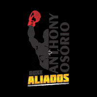 Boxealiados GIF by Aliados CrossFit
