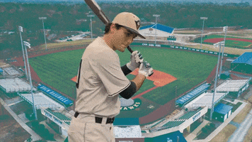 UNCW Baseball GIF