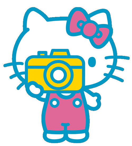 Picture Photography Sticker by Hello Kitty