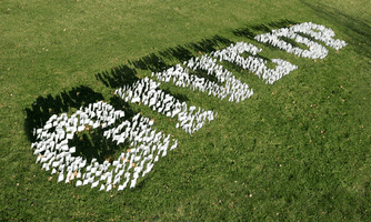 Give Up Grass GIF by Jon Newman