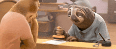 Office Sloth GIF by Disney Zootopia