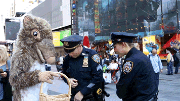 new york city police GIF by WNYC