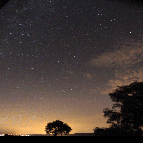 sylviecordenner video loire atlantique audio visuel GIF