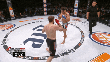 fight knockout GIF by Bellator