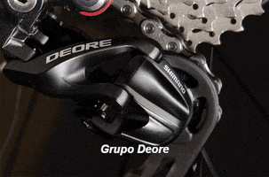 minke  GIF