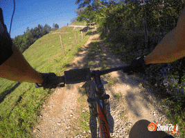 franciscocampos-e6ef bike mtb bici xalapa GIF