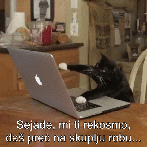 salaukovina  GIF