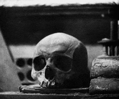 posesoul skull GIF