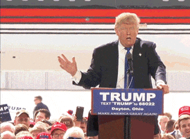 chebrandes-tuka bernie sanders scares donald trump GIF