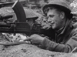 maksymsavanevsky  GIF