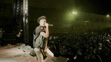 fools gold rap GIF by Fool's Gold Records