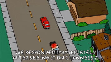 Episode 7 Police Chase GIF by The Simpsons