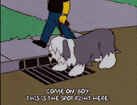 Come On Boy Gifs Get The Best Gif On Giphy