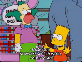 200.gif?cid=fc005b08c8a097bcb1905ccbaae933af148fb9d1c9e0950a&rid=200.gif&ct=g