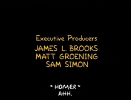 Season 2 Credits GIF by The Simpsons