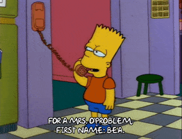 Season 3 Prank GIF by The Simpsons