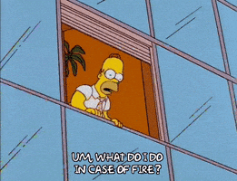 homer simpson GIF
