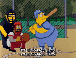 Season 3 Dugout GIF by The Simpsons