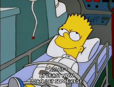 giphy.gif?cid=6c09b9523fdab0992c86844a82a064eb6afa8591a9505102&rid=giphy.gif&ct=g