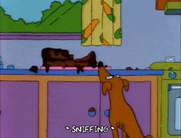 Sniffing Season 3 GIF by The Simpsons