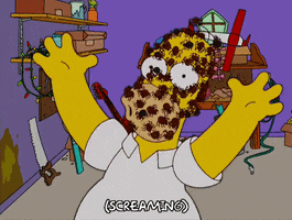 homer simpson spiders GIF