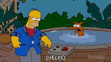 200.gif?cid=fc005b089acebf59f9f9c0eee5b0a82079381284982d97af&rid=200.gif&ct=g